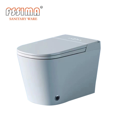 Japanese Intelligent Toilet Water Bidet Buttocks Washing Fully Smart 60KG